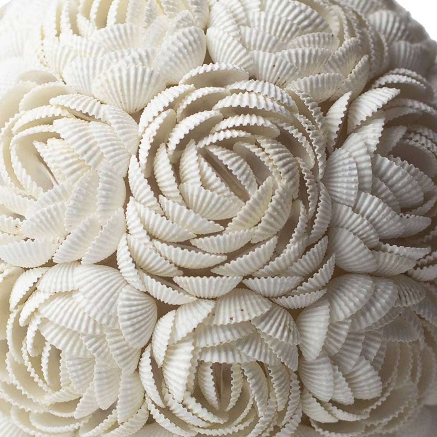 Handcrafted LED Boho Seashell Lamp - Large - Rose - Round close-up showing layered rosettes formed from ridged shells by Quintessential Holistic Health Ltd