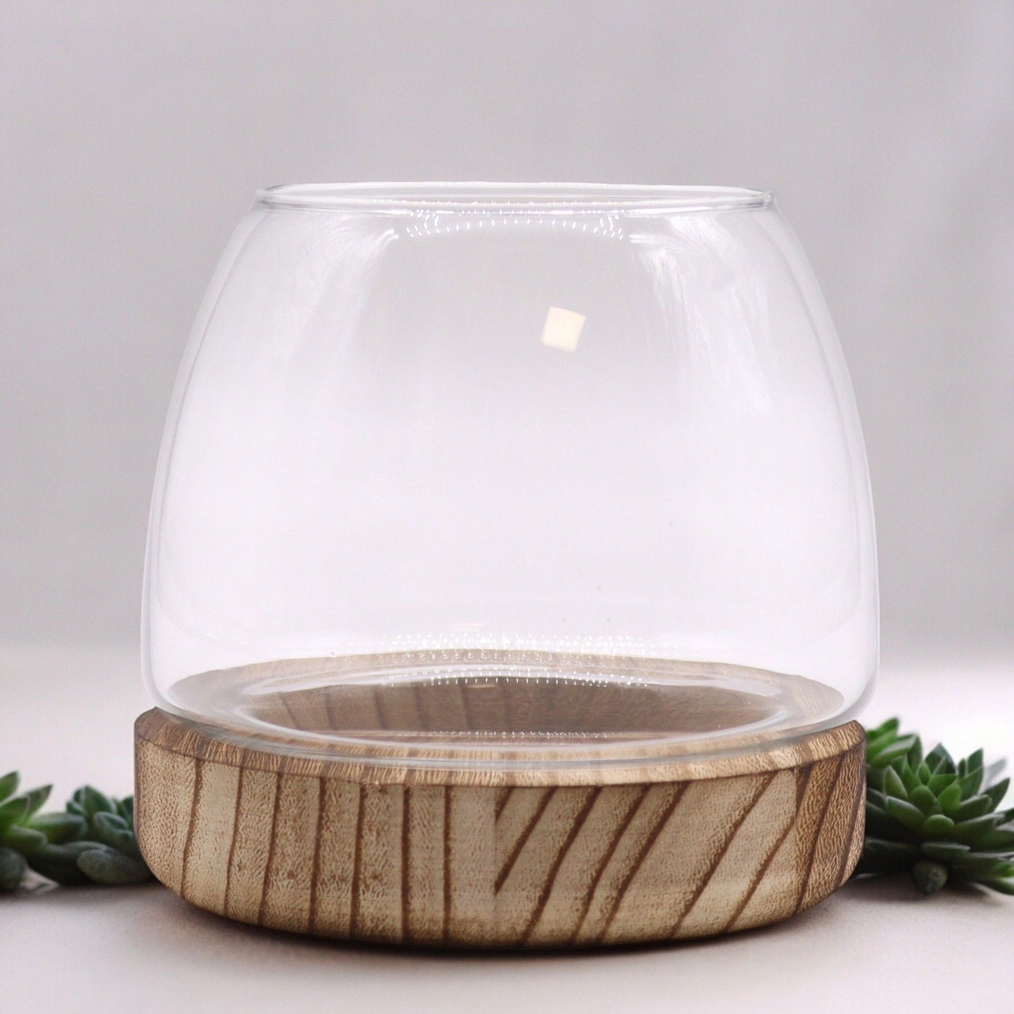 Glass Terrarium on Tung Wood - Small / Natural