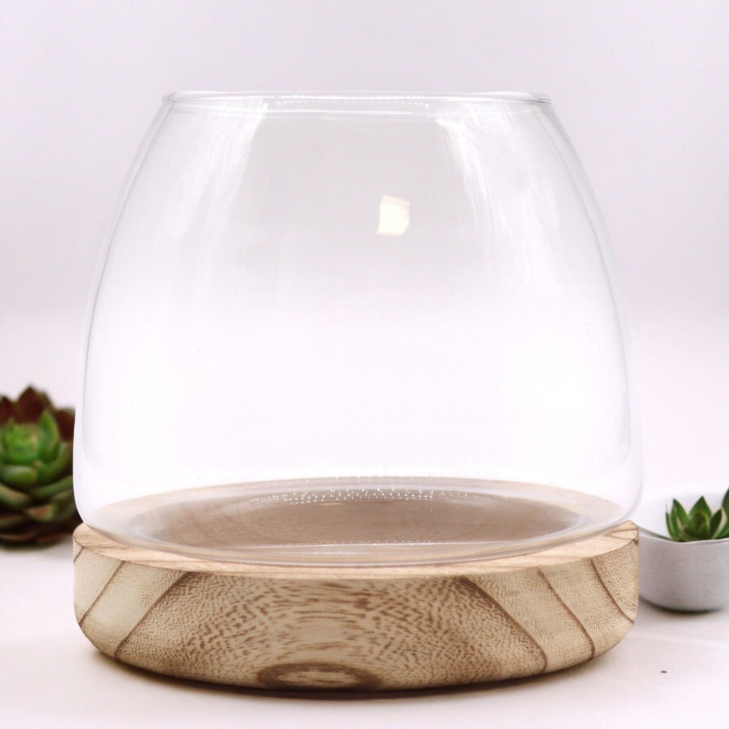 Glass Terrarium on Tung Wood - Medium / Natural