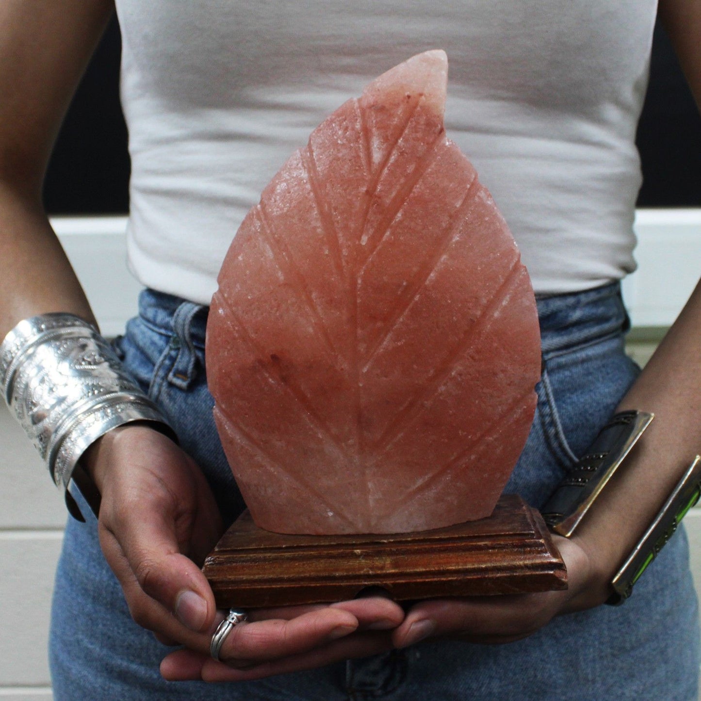 Hand Carved 240v Himalayan Salt Crystal Lamp with Base - Natural / Leaf / 2Kg - 2.5Kg