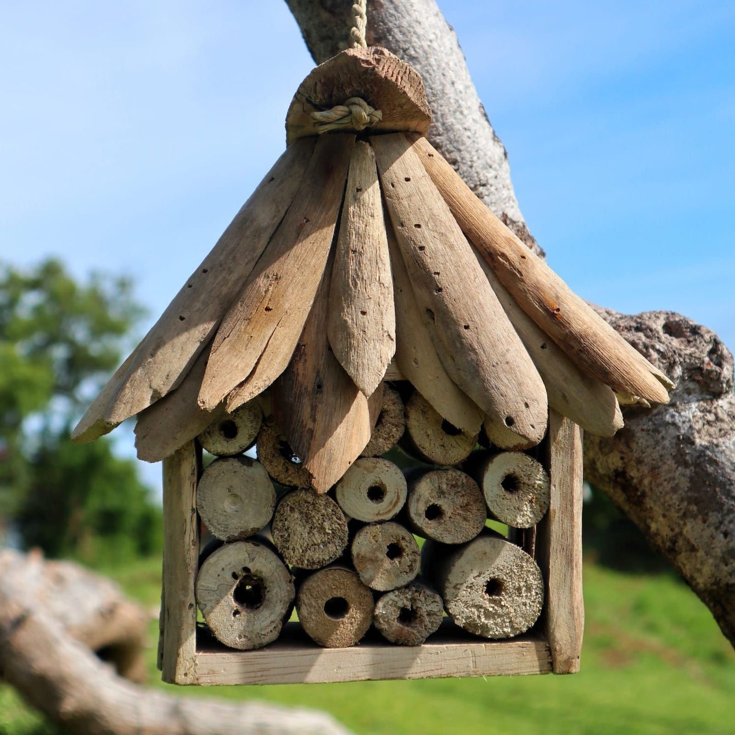 Handmade Recycled Driftwood Bee and Insect House