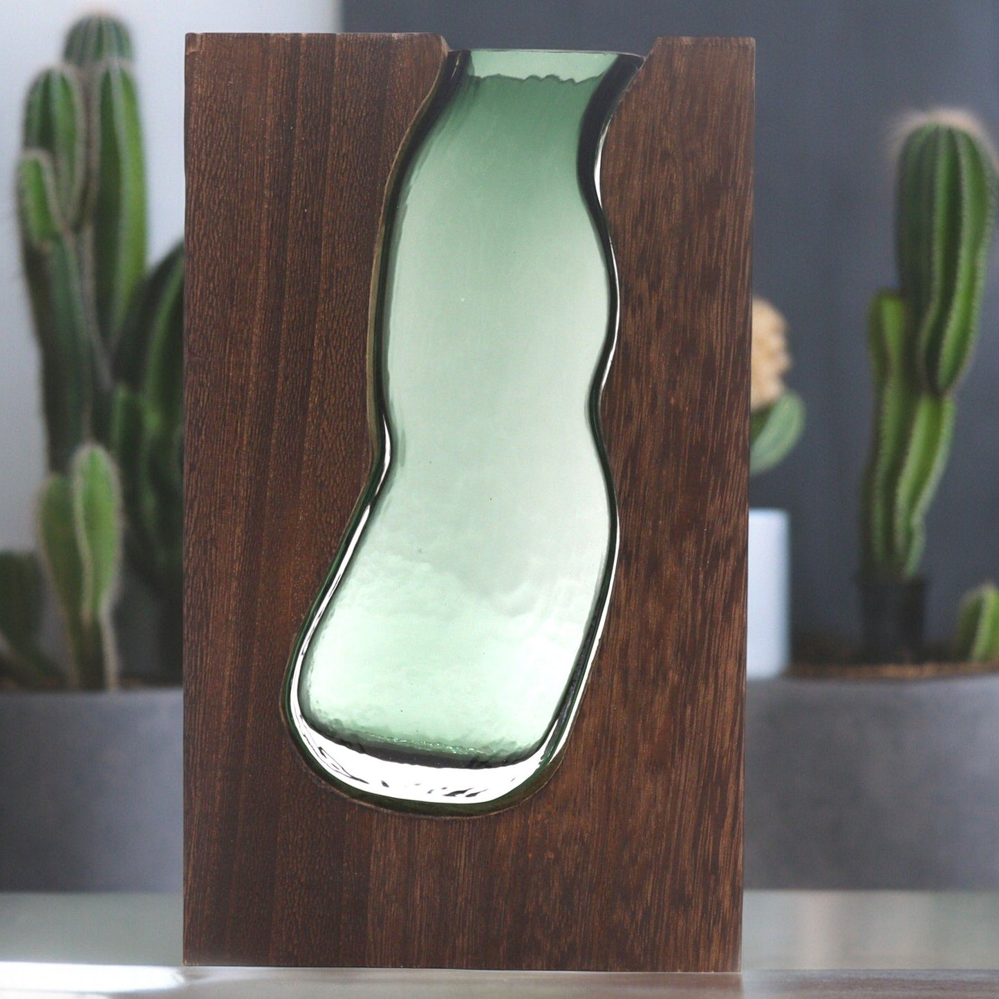 Glass Terrarium in Tung Wood - Large / Dark