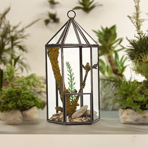 Glass and Brass Terrarium - Lantern