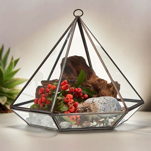 Glass and Brass Terrarium - Large / Diamond