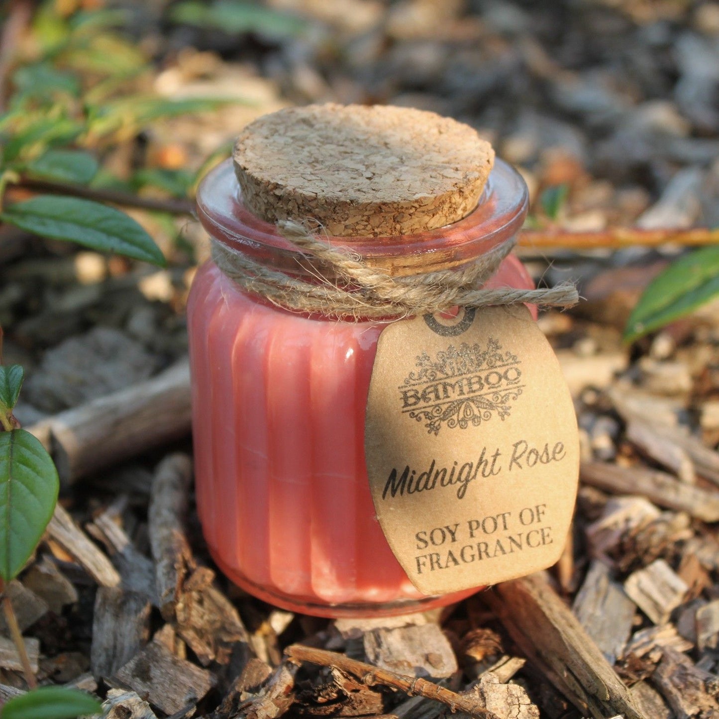 Eco- Friendly Fragranced Soy Candle in a Glass Pot - Midnight Rose