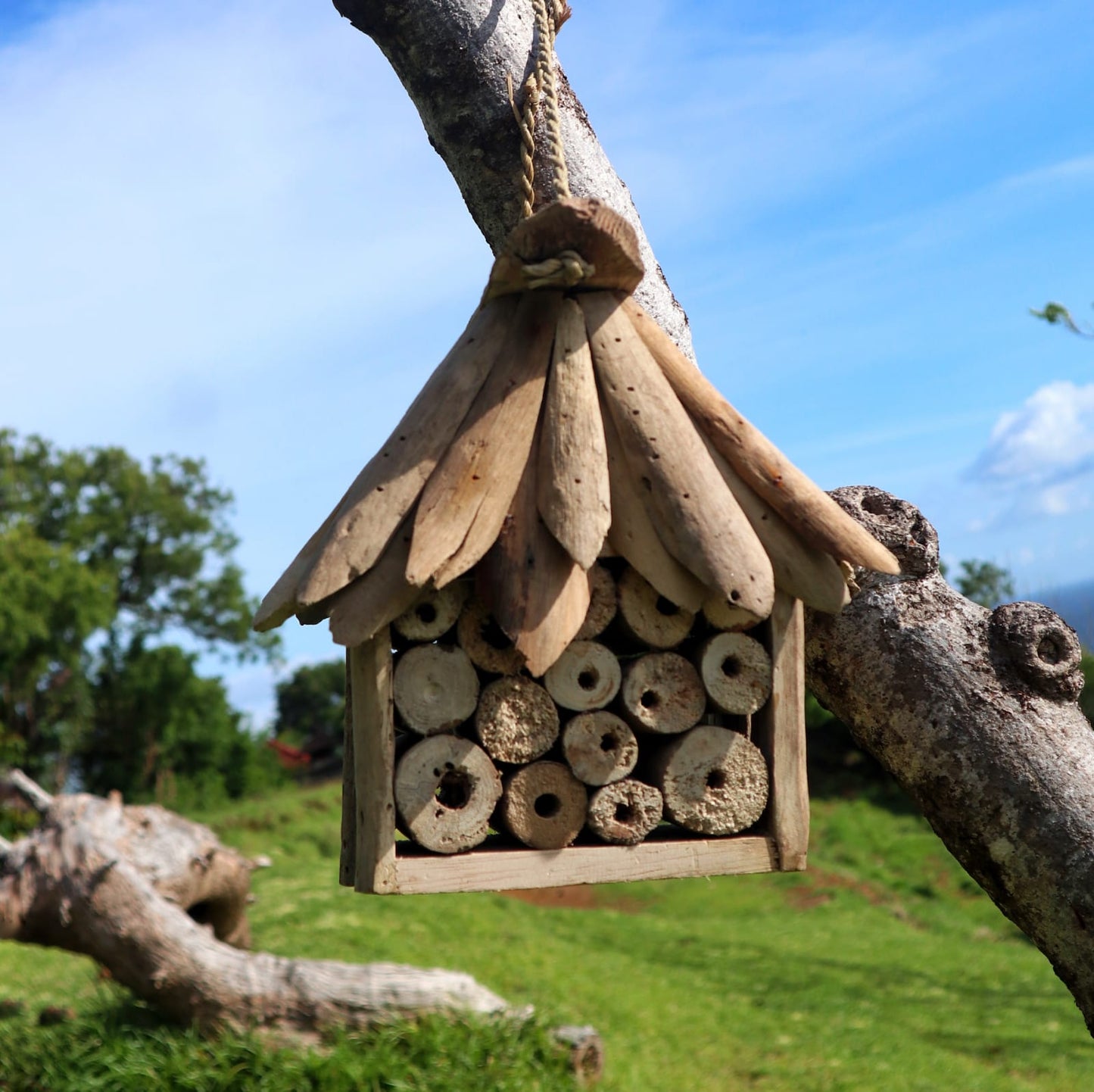 Handmade Recycled Driftwood Bee and Insect House, hanging from a tree branch with a pitched roof and drilled wooden tubes, by Quintessential Holistic Health Ltd