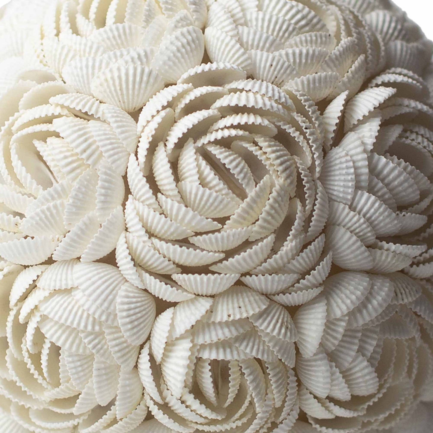 Handcrafted LED Boho Seashell Lamp - Large - Rose - Oval close-up showing layered rosettes formed from ridged cream shells by Quintessential Holistic Health Ltd