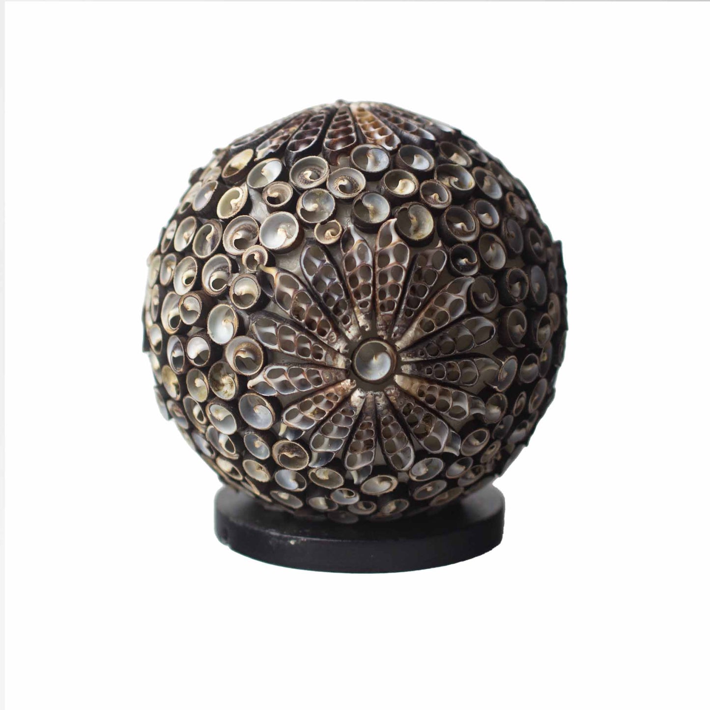 Handcrafted LED Boho Seashell Lamp - Small / Chocolate Twist / Round product packaging on clean background from Quintessential Holistic Health Ltd