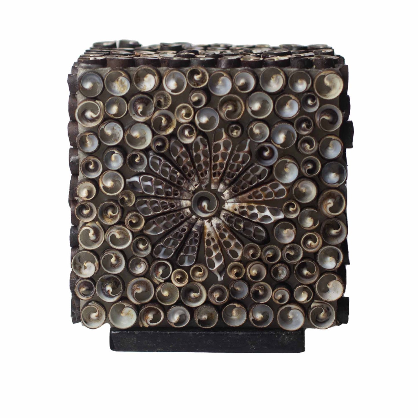 Handcrafted LED Boho Seashell Lamp - Small Chocolate Twist Square with dark spiral shells and a central radial flower pattern by Quintessential Holistic Health Ltd