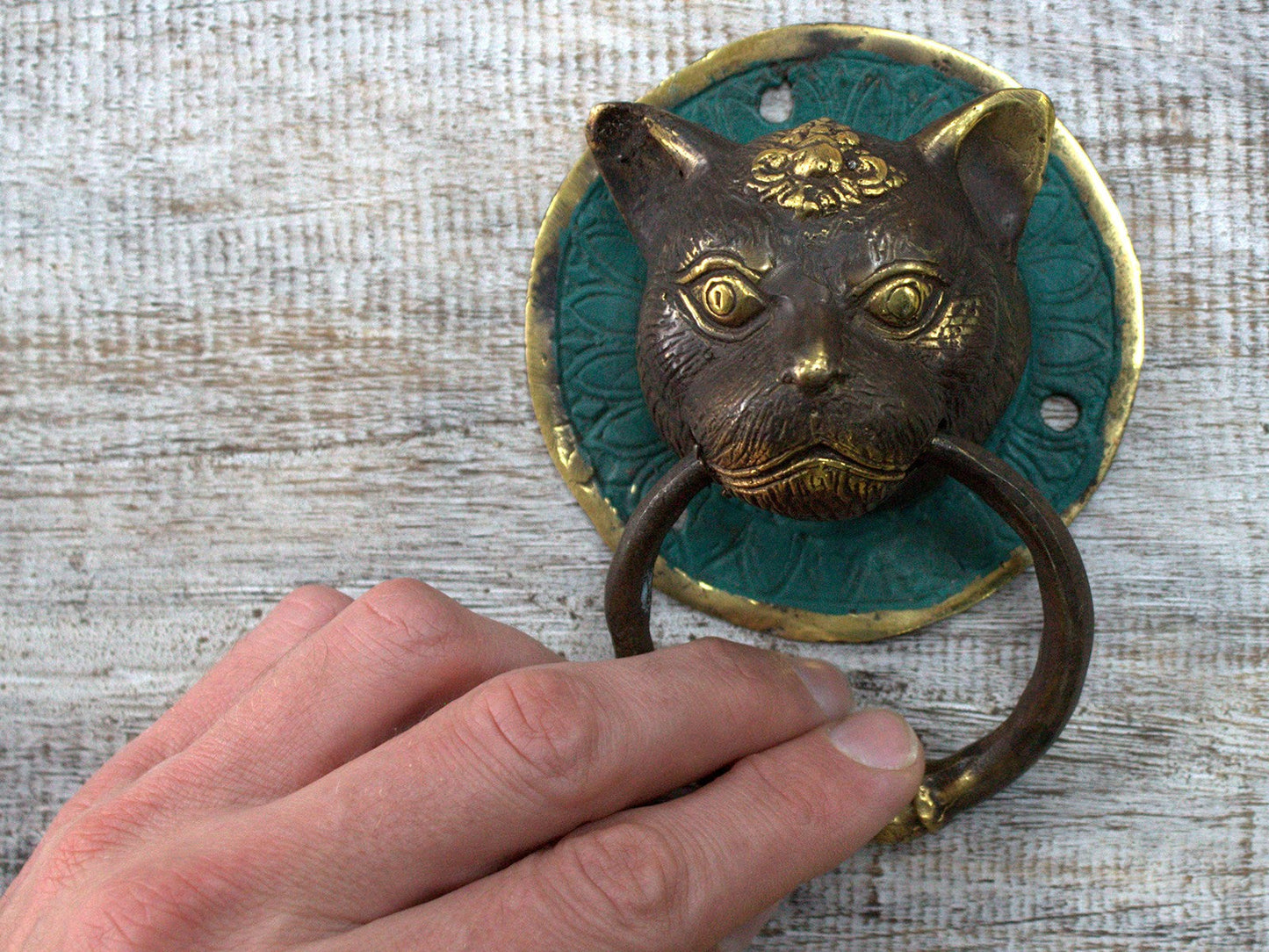 Brass Door Knocker - Cat's Head, 6 × 9.5 × 13cm with pointed ears and a hand lifting the dark circular ring by Quintessential Holistic Health Ltd