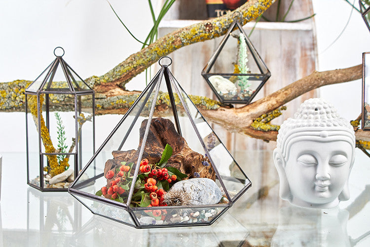 Large Glass and Brass Diamond Terrarium, filled with red berries and wood pieces beside other geometric terrariums, by Quintessential Holistic Health Ltd