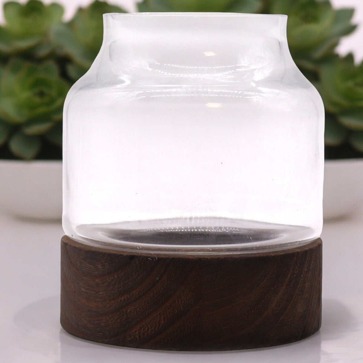 Glass Terrarium on Tung Wood - Medium - Dark with flared glass rim and dark rounded wooden base by Quintessential Holistic Health Ltd