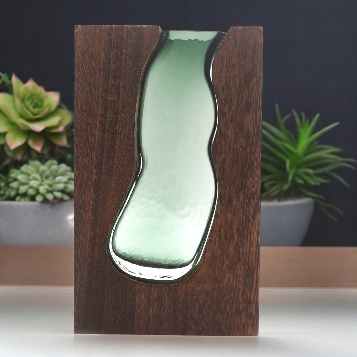 Medium Dark Tung Wood Glass Terrarium with curved pale green glass in a dark upright frame against a plant-filled background by Quintessential Holistic Health Ltd