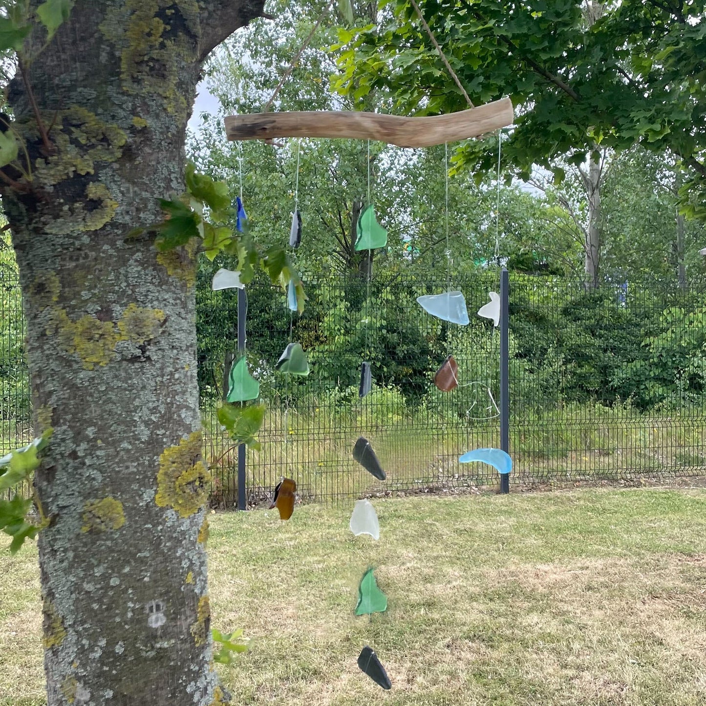 Driftwood and Recycled Glass Wind Chime - Five Drop - Multicoloured, suspended outdoors from a tree with colourful glass drops by Quintessential Holistic Health Ltd