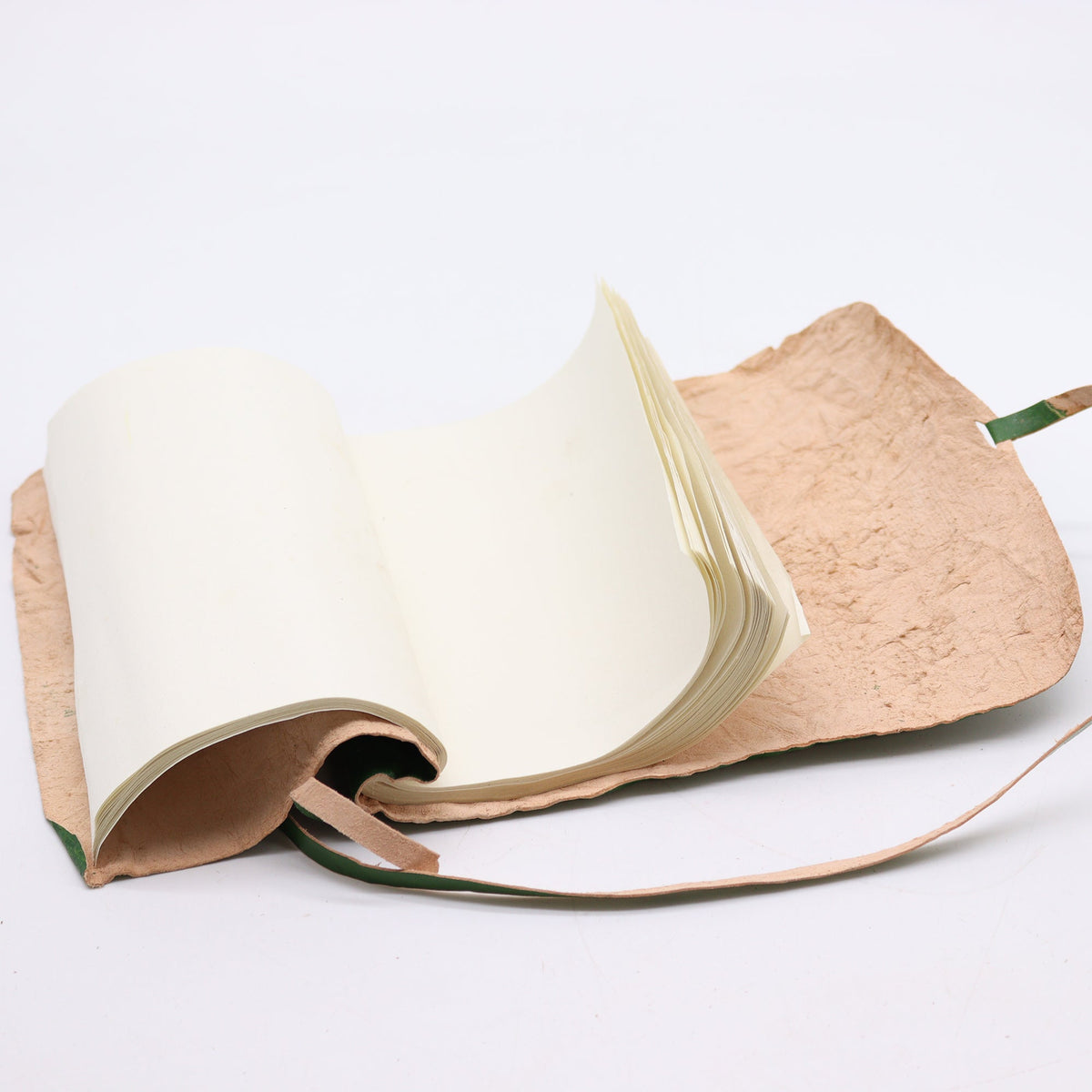 Handmade Rolled Leather Travel Notebook with Strap - Green, open to curved blank cream pages with a green tie visible by Quintessential Holistic Health Ltd