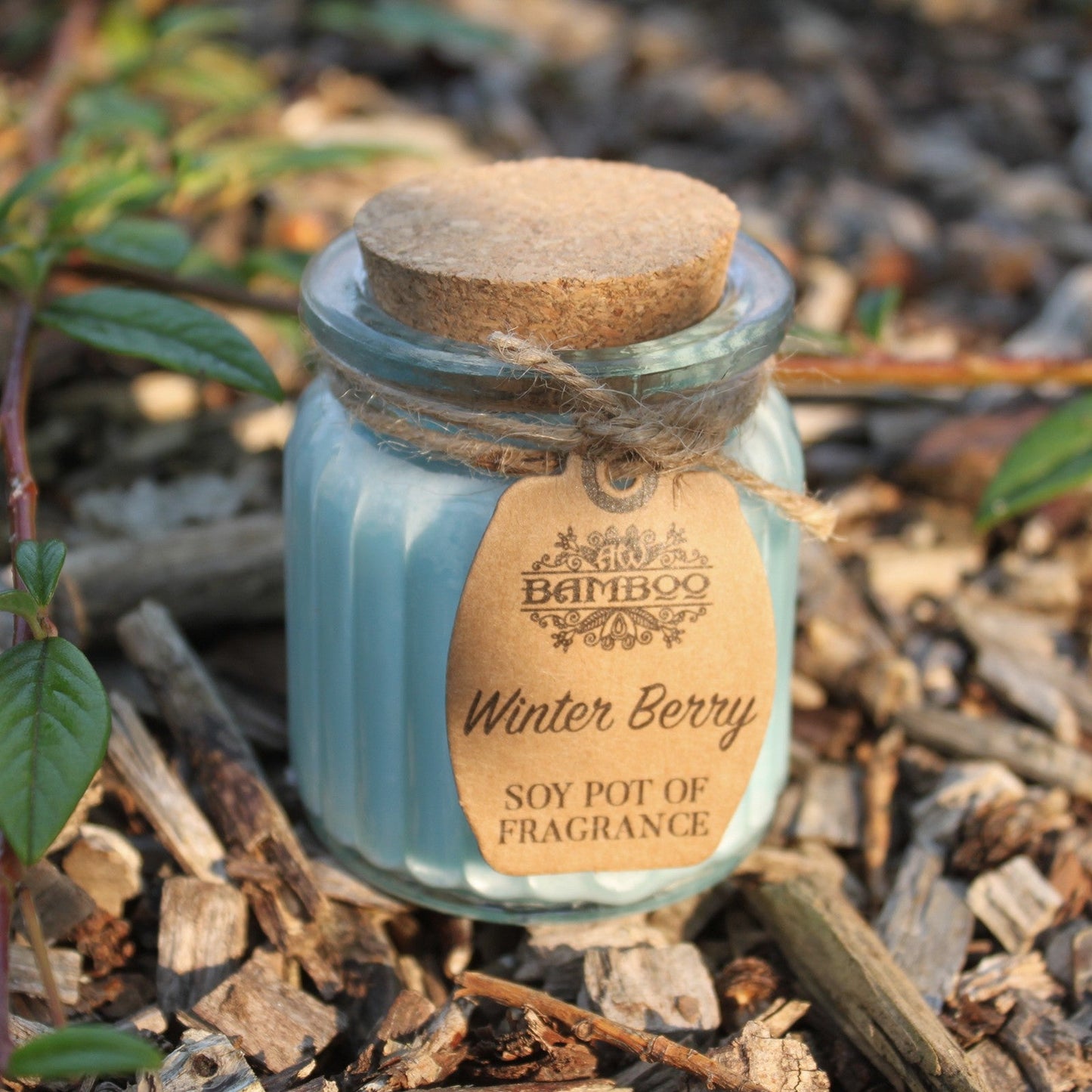 Eco- Friendly Fragranced Soy Candle in a Glass Pot - Winter Berries product packaging on clean background from Quintessential Holistic Health Ltd