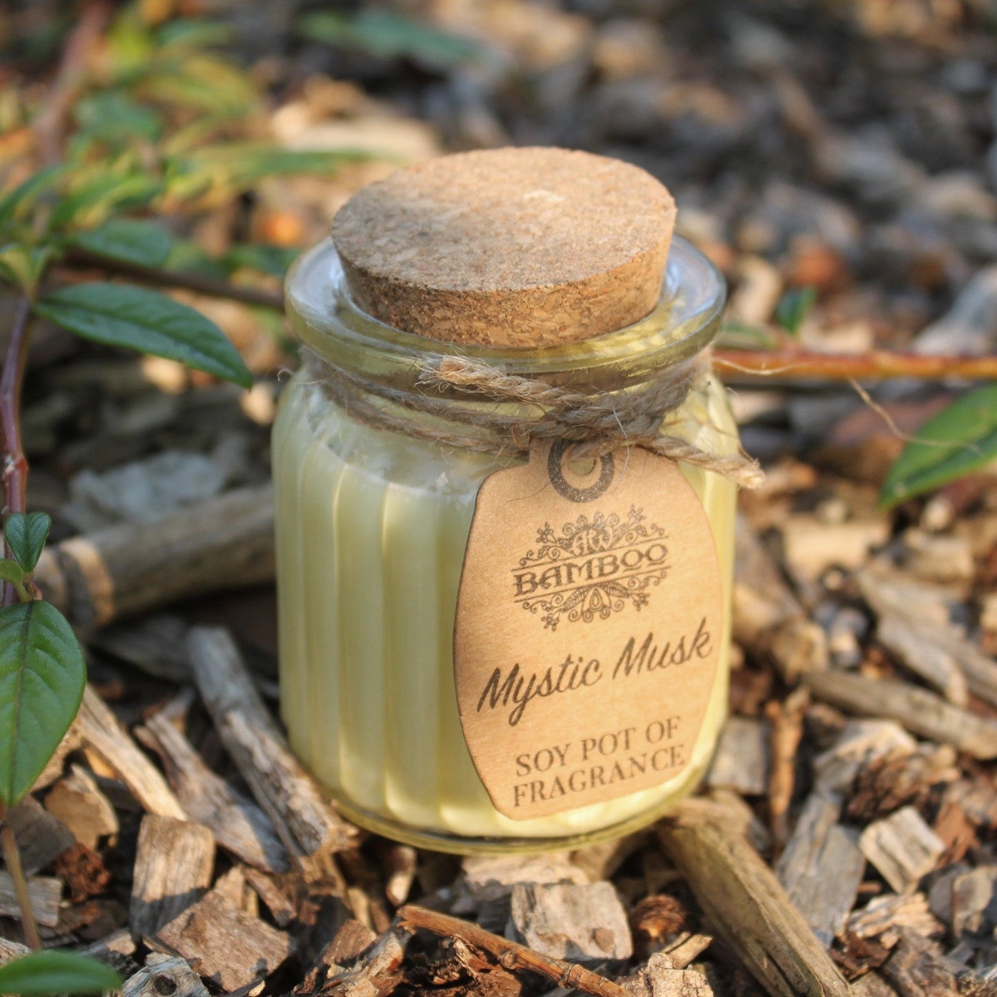 Eco- Friendly Fragranced Soy Candle in a Glass Pot - Mystic Musk product packaging on clean background from Quintessential Holistic Health Ltd