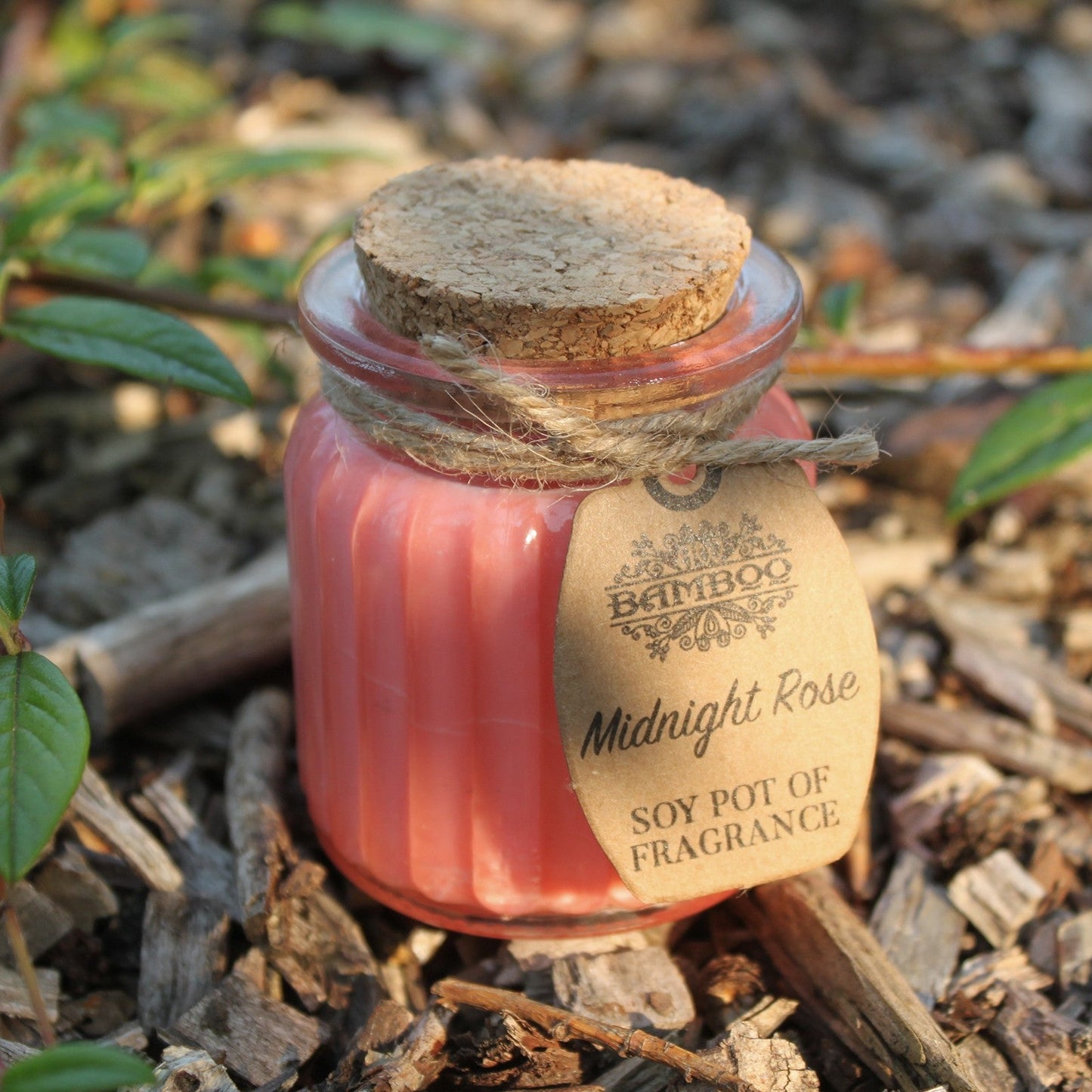 Eco- Friendly Fragranced Soy Candle in a Glass Pot - Midnight Rose product packaging on clean background from Quintessential Holistic Health Ltd