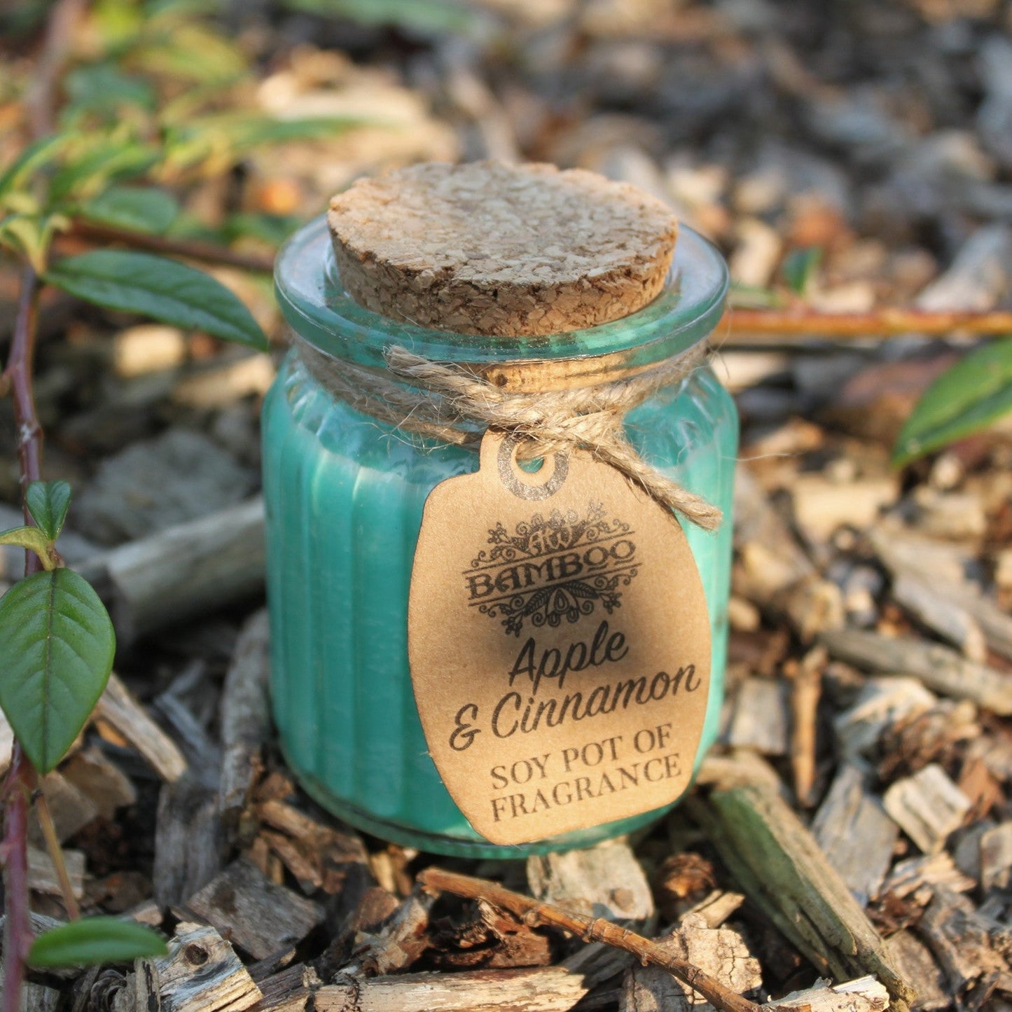 Eco- Friendly Fragranced Soy Candle in a Glass Pot - Apple and Cinnamon product packaging on clean background from Quintessential Holistic Health Ltd