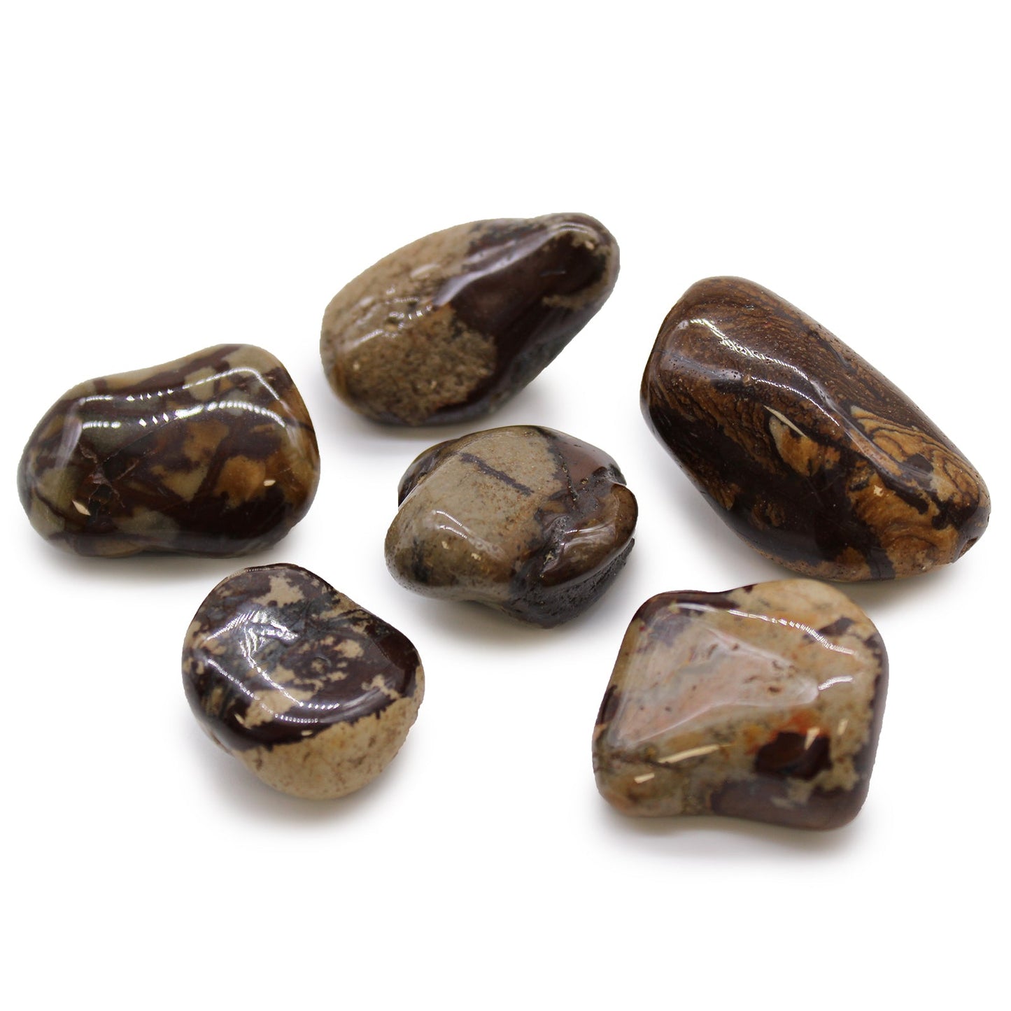 6 x Polished Natural Tumble Stones - Nguni Jasper product packaging on clean background from Quintessential Holistic Health Ltd