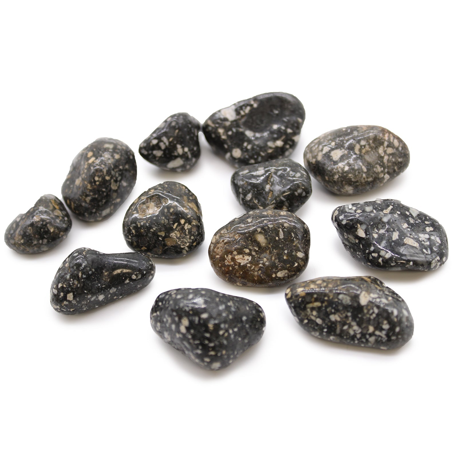 12 x Polished Natural Tumble Stones - Medium / Guinea Fowl Jasper product packaging on clean background from Quintessential Holistic Health Ltd