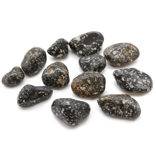 12 x Polished Natural Tumble Stones - Medium / Guinea Fowl Jasper product packaging on clean background from Quintessential Holistic Health Ltd