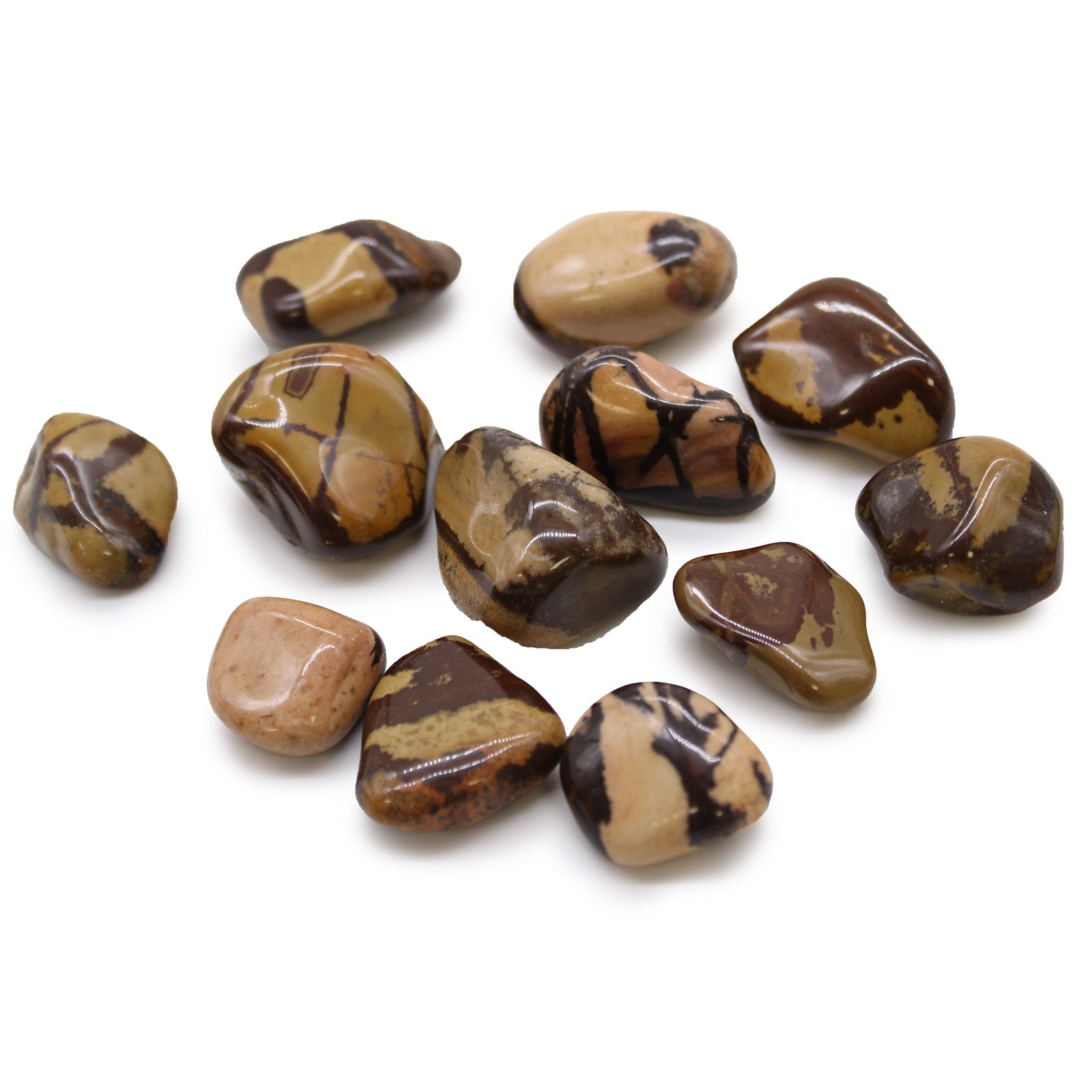 12 x Polished Natural Tumble Stones - Medium / Nguni Jasper product packaging on clean background from Quintessential Holistic Health Ltd