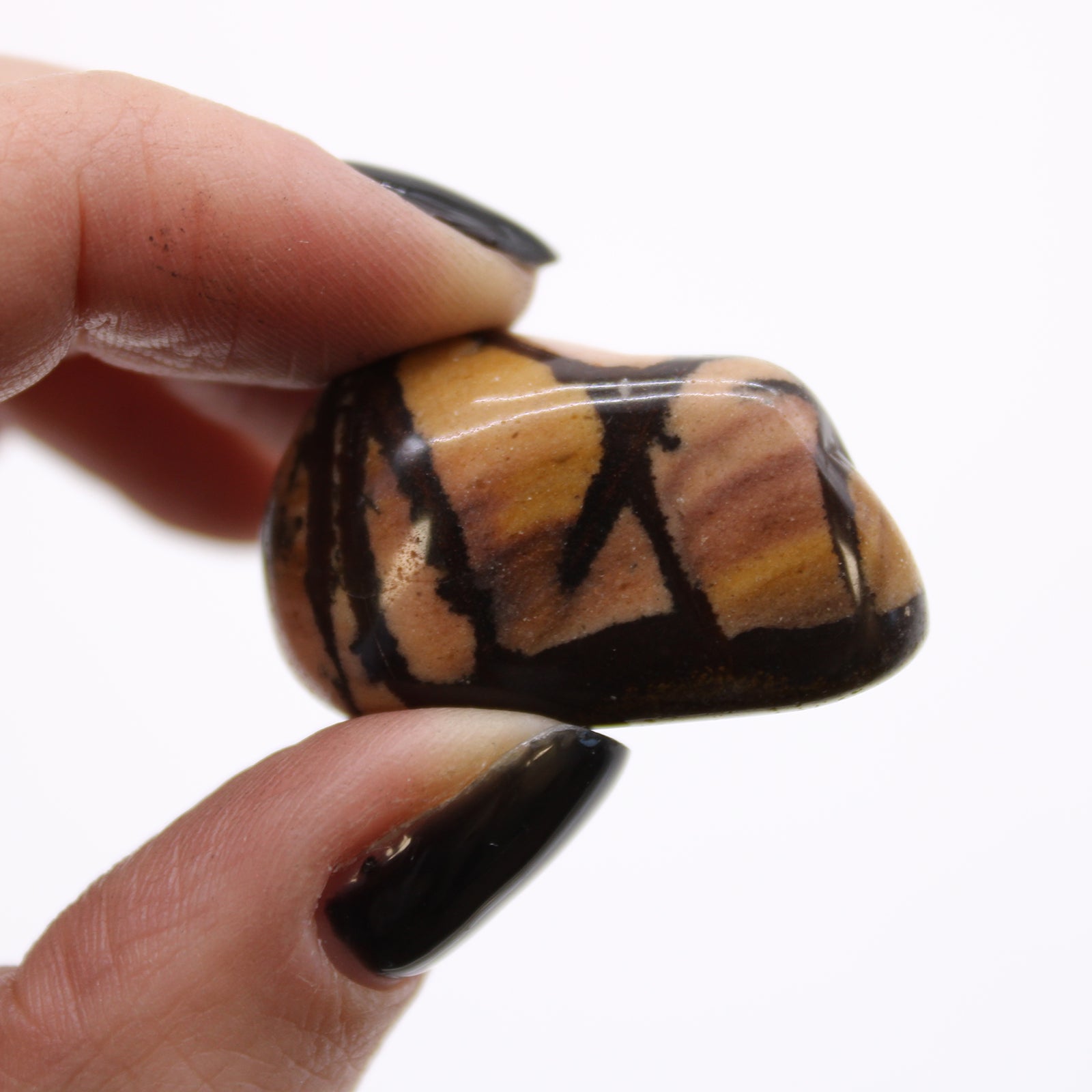 12 x Polished Natural Tumble Stones - Medium / Nguni Jasper product packaging on clean background from Quintessential Holistic Health Ltd