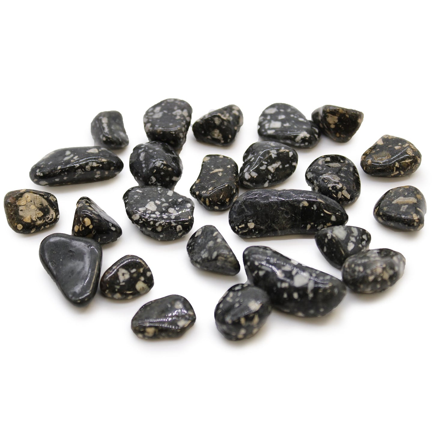 24 x Polished Natural Tumble Stones - Small / Guinea Fowl Jasper product packaging on clean background from Quintessential Holistic Health Ltd