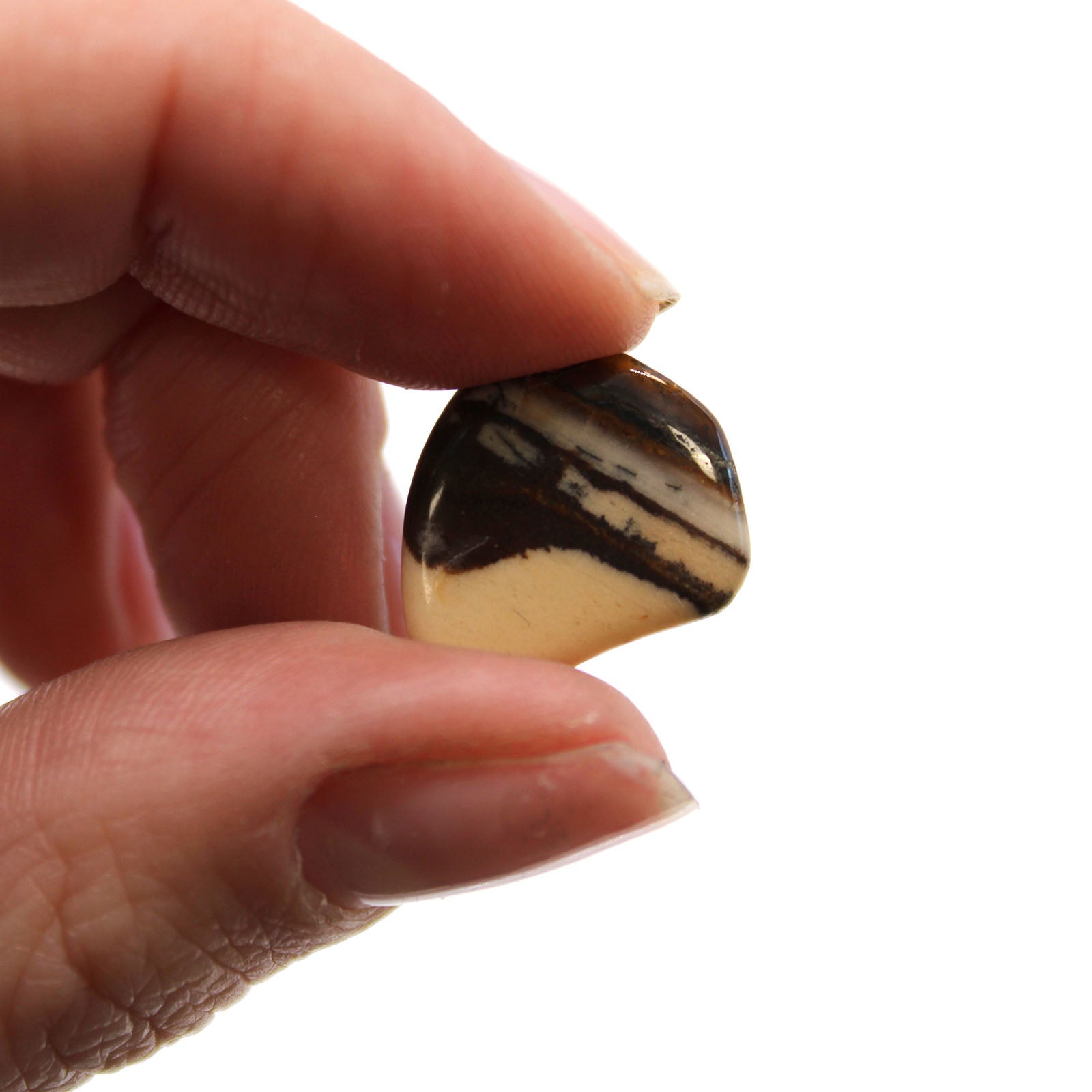 24 x Polished Natural Tumble Stones - Small / Picture Nguni Jasper product packaging on clean background from Quintessential Holistic Health Ltd