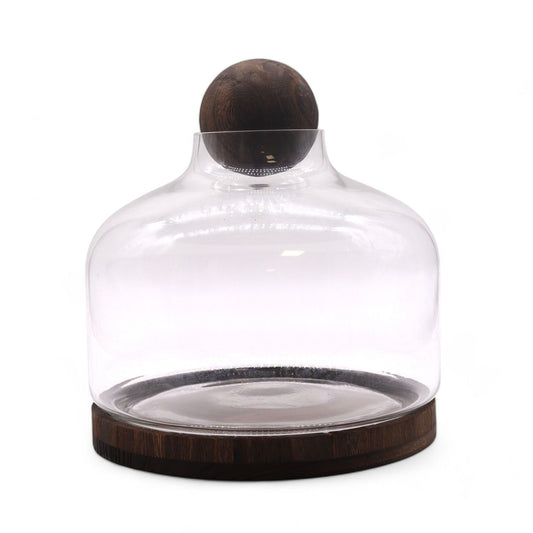 Glass Terrarium on Tung Wood with Ball - Extra Large / Dark