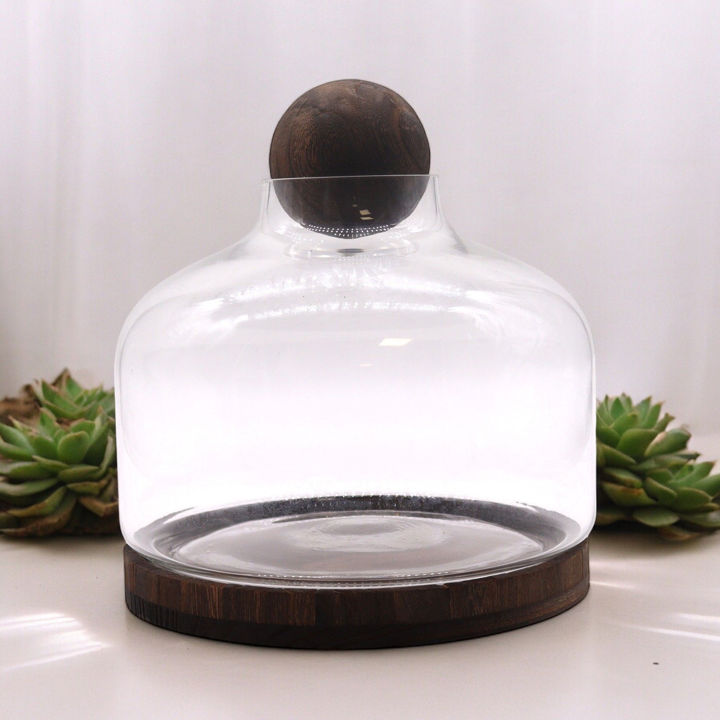 Glass Terrarium on Tung Wood with Ball - Extra Large / Dark