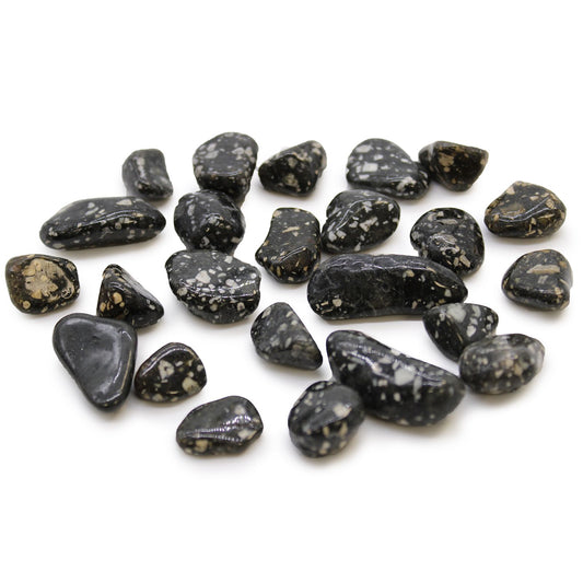 24 x Polished Natural Tumble Stones - Small / Guinea Fowl Jasper