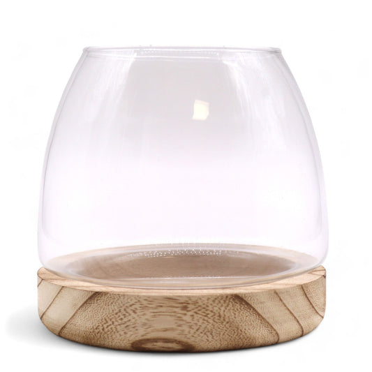 Glass Terrarium on Tung Wood - Medium / Natural