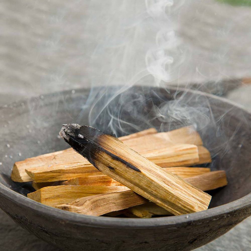 100g Green Tree Palo Santo (Holy Wood) Sticks / 10 - 15 Sticks