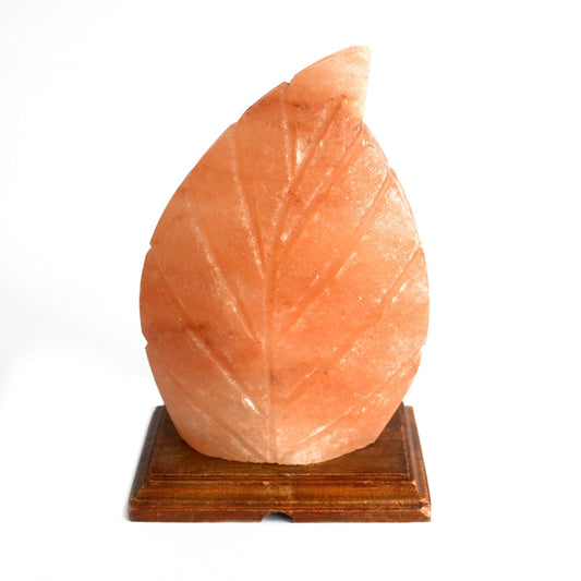 Hand Carved 240v Himalayan Salt Crystal Lamp with Base - Natural / Leaf / 2Kg - 2.5Kg