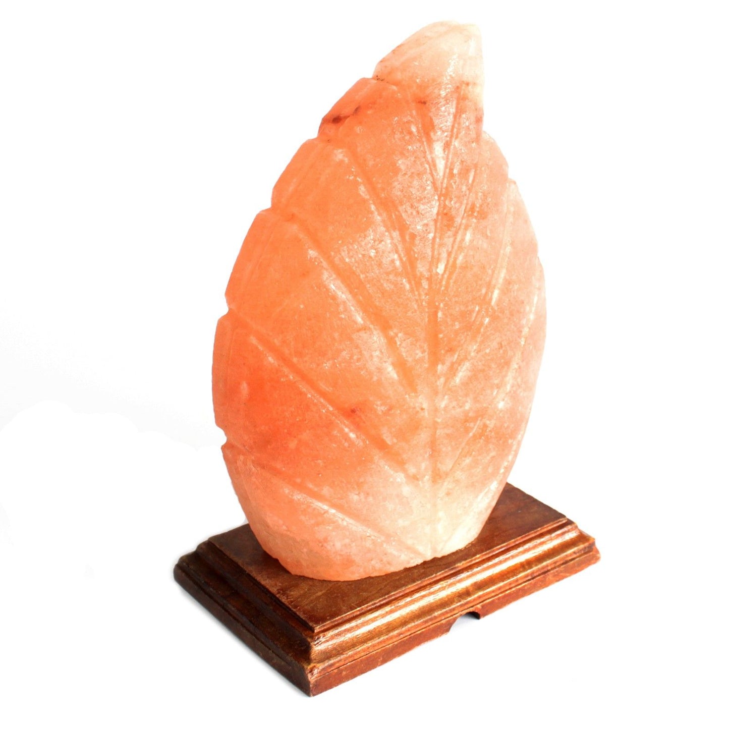Hand Carved 240v Himalayan Salt Crystal Lamp with Base - Natural / Leaf / 2Kg - 2.5Kg