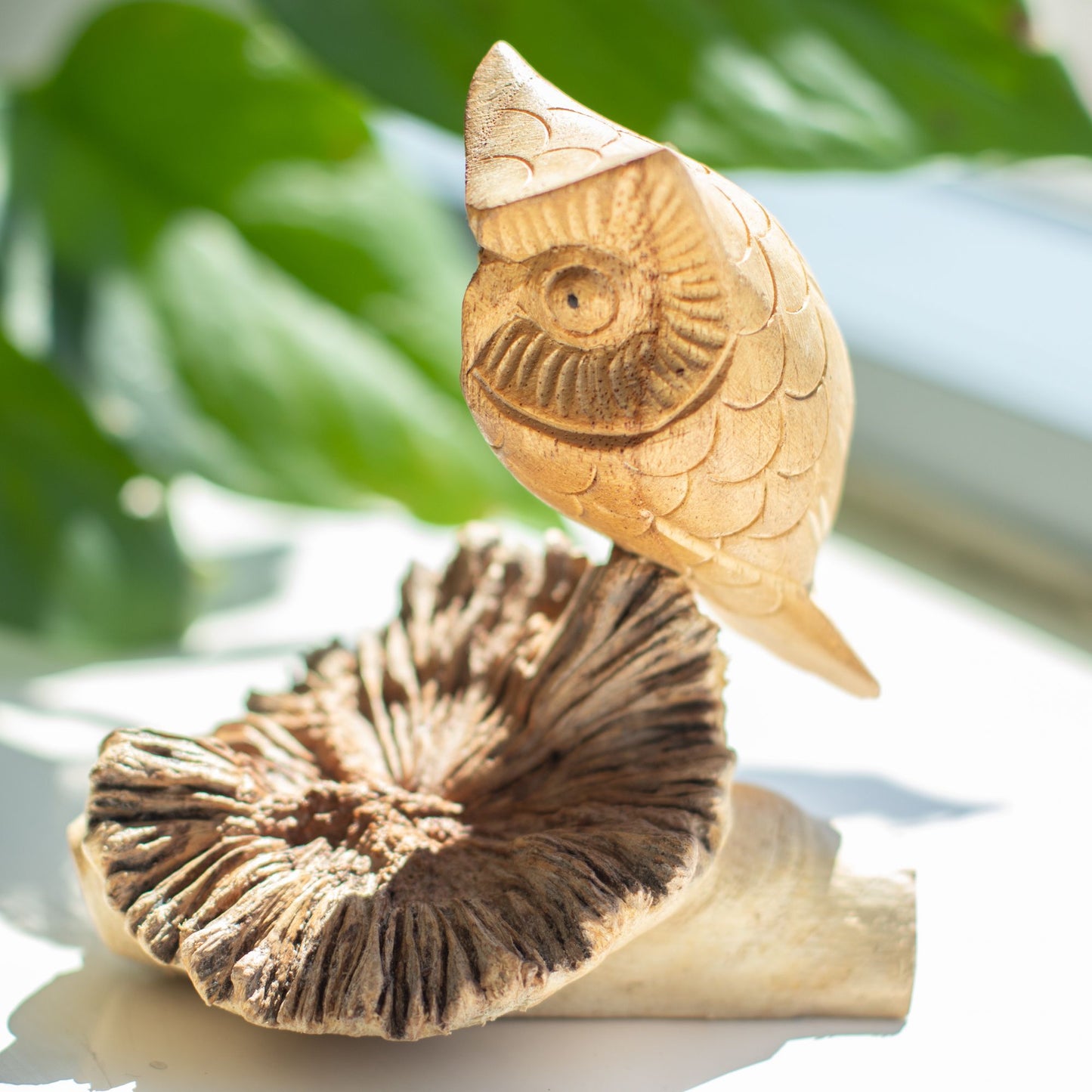 QHH Sylvan Handmade Owl Wood Carving - Parasite Wood