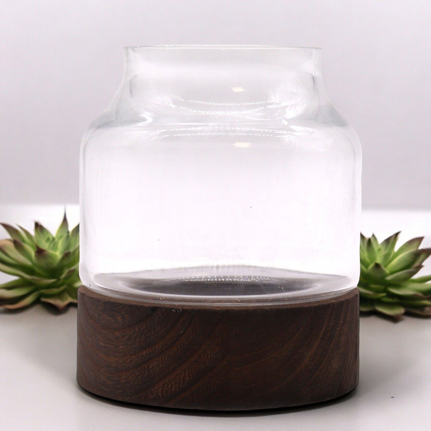 Glass Terrarium on Tung Wood - Medium / Dark