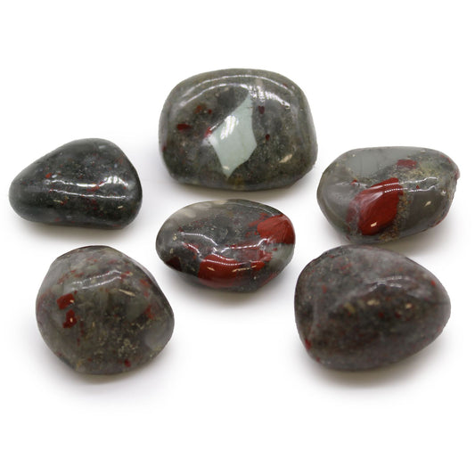 6 x Polished Natural Tumble Stones - Bloodstone Sephtonite