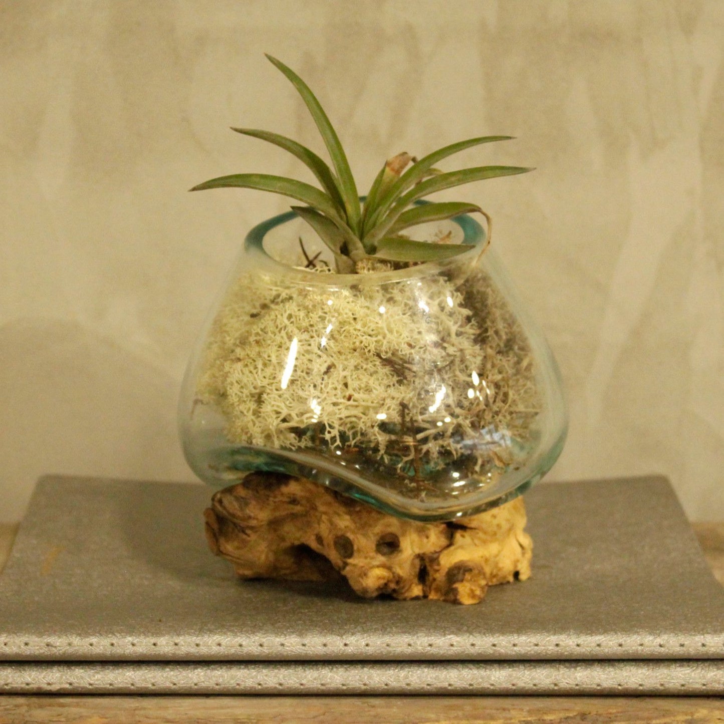 Handmade Molten Recycled Glass Vase on Wood - Small / Round / Clear / Light Blue