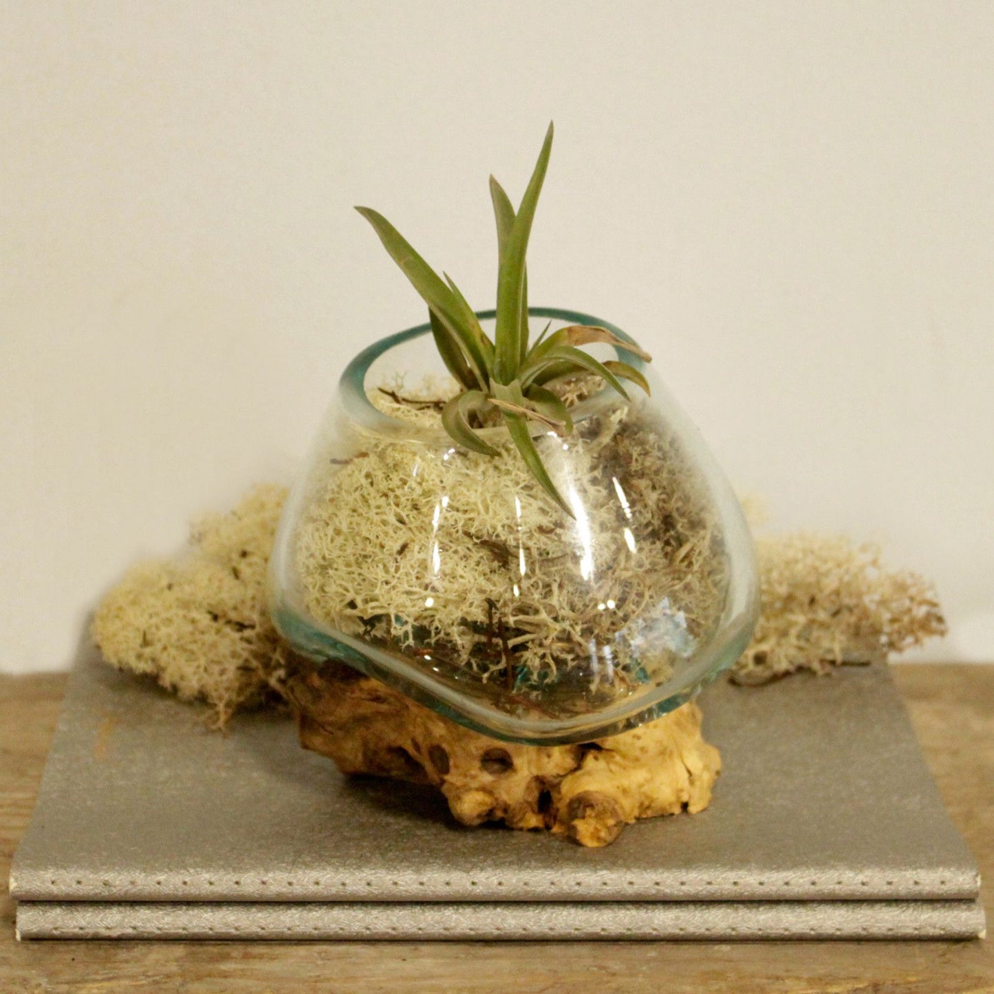 Handmade Molten Recycled Glass Vase on Wood - Small / Round / Clear / Light Blue