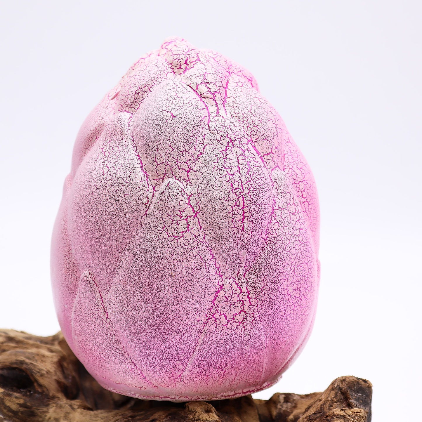 Natural Driftwood LED Glow Lamp - Crackle Lotus Flower Shade / Purple