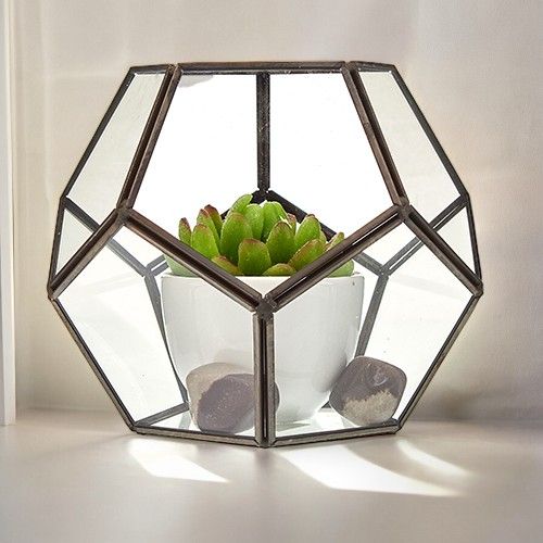 Glass and Brass Terrarium - Octagon