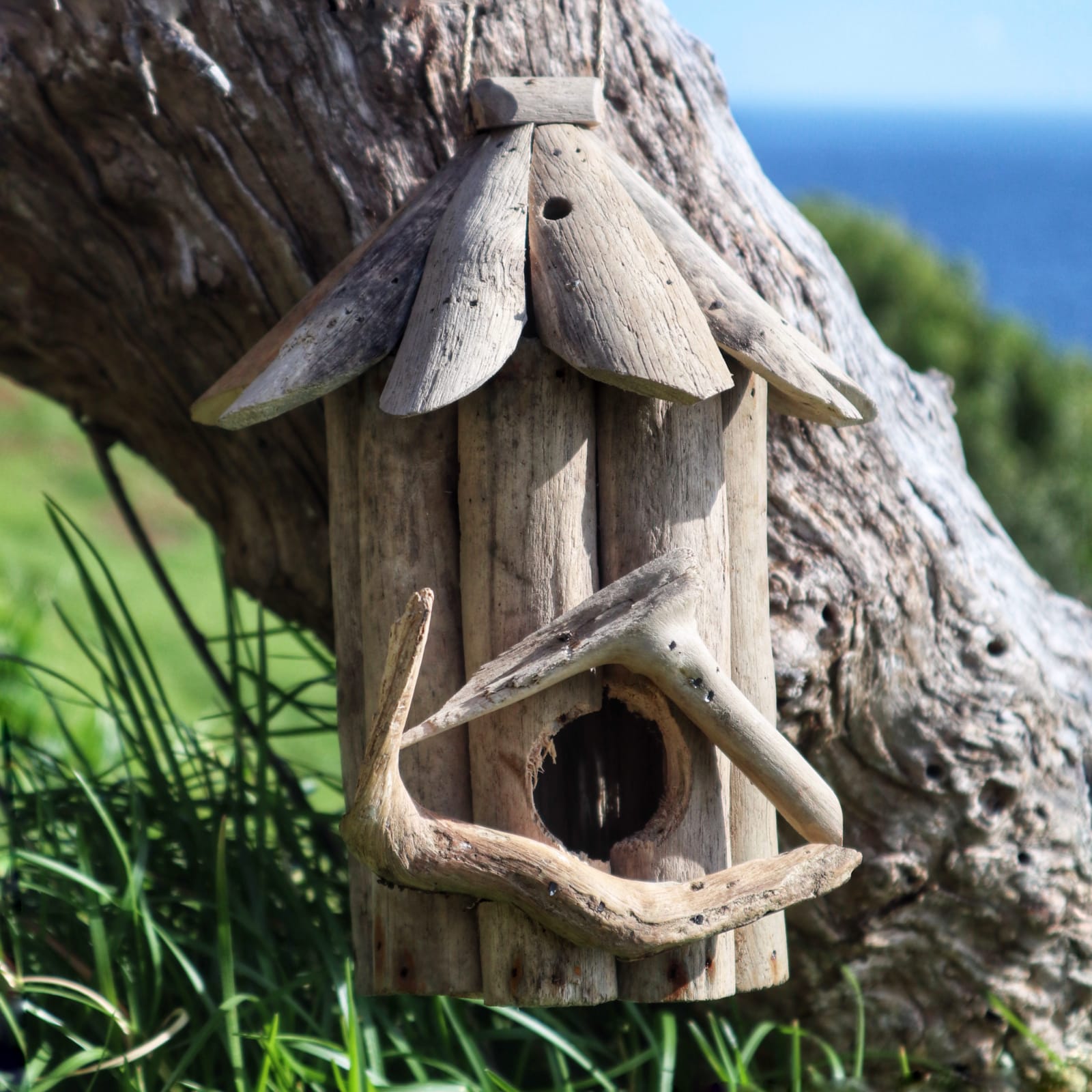 Handmade Recycled Driftwood Bird Box - Medium against a tree trunk with a round entrance, layered roof and branch-framed front by Quintessential Holistic Health Ltd
