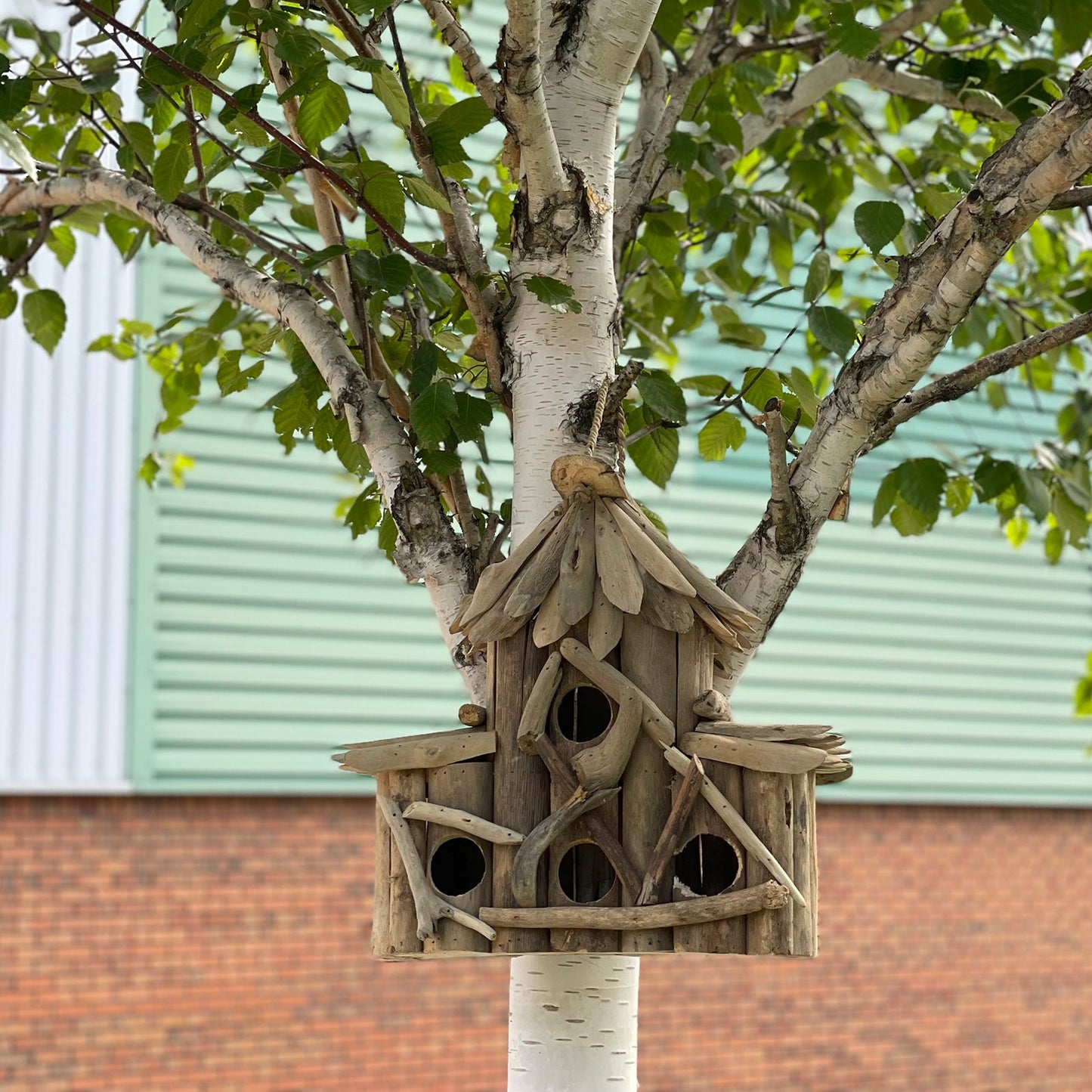 Handmade Recycled Driftwood Bird Box - Croft, mounted on a tree with multiple round openings and branch trim, by Quintessential Holistic Health Ltd