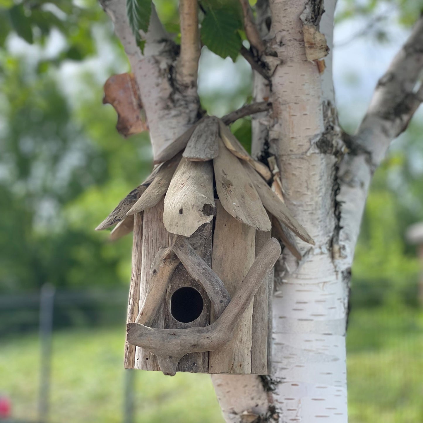 Handmade Wall-Hanging Recycled Driftwood Bird Box hanging on a tree trunk with a round entrance and layered pitched roof by Quintessential Holistic Health Ltd