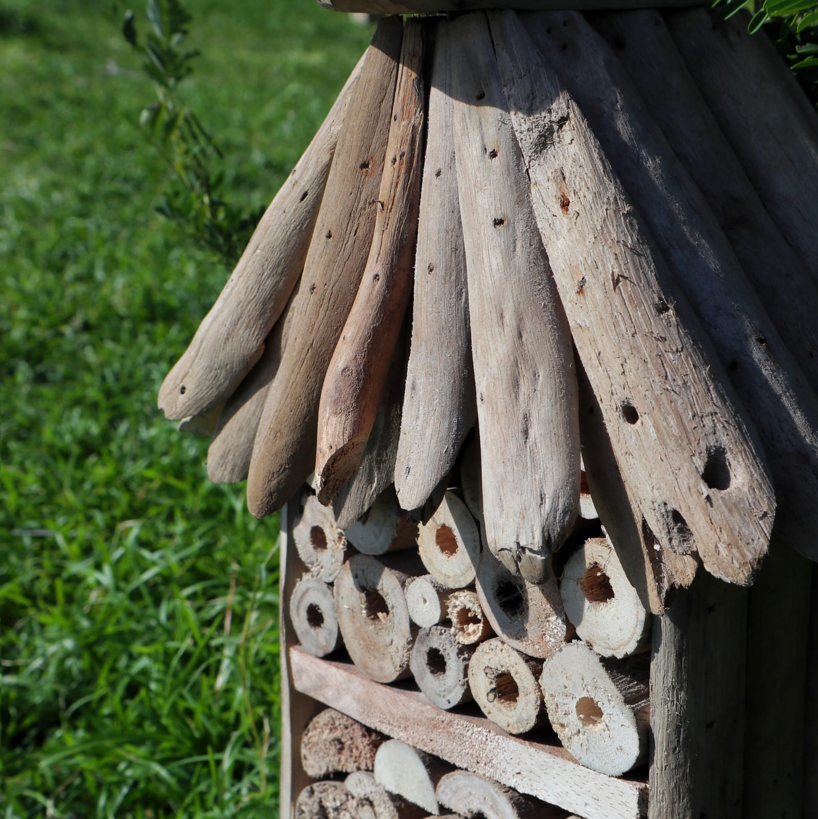 Handmade Recycled Driftwood Bee and Insect Tall House, close-up of the layered roof and drilled nesting tubes outdoors, by Quintessential Holistic Health Ltd