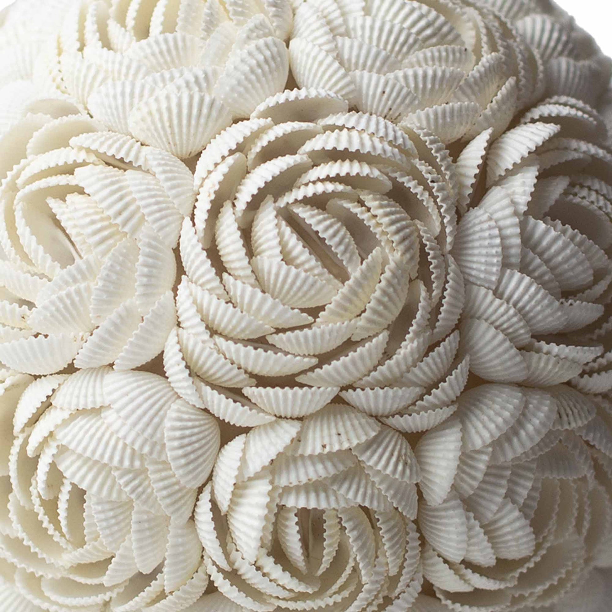 Handcrafted LED Boho Seashell Lamp - Large / Rose / Oval product packaging on clean background from Quintessential Holistic Health Ltd