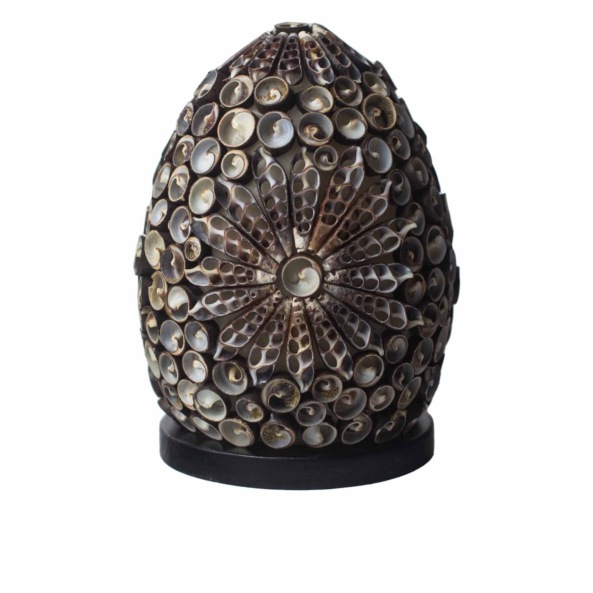 Handcrafted LED Boho Seashell Lamp - Small / Chocolate Twist / Oval product packaging on clean background from Quintessential Holistic Health Ltd